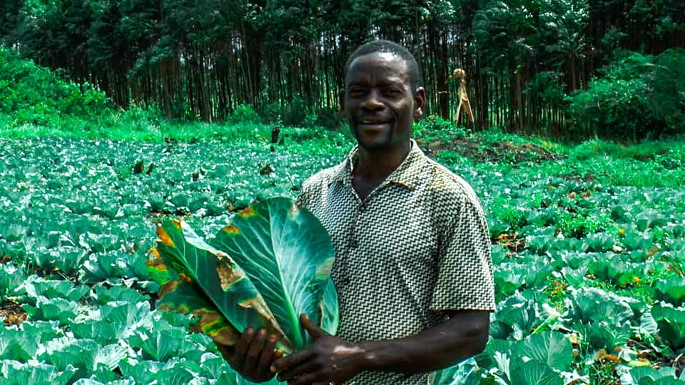 Cosma Sustainable Rural Development works with farmers by equiping them with agricultural skills and seeds to ensure that they have a bountiful harvest.